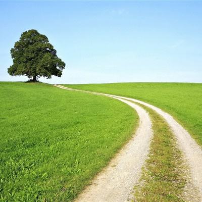 半岛.综合体育入口