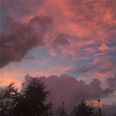 ky体育手机app下载