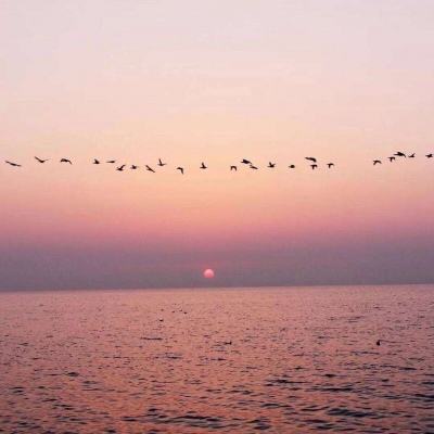 云开·全站APP下载