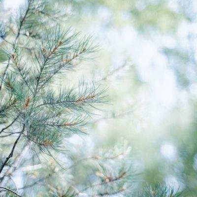 彩神lllv入口手机app下载