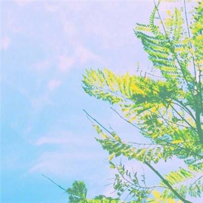 888电玩城游戏厅手机app下载